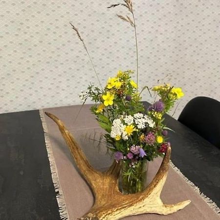 Familienfreundliche Farm Stuga Hamra Kültér fotó